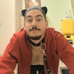 YOUR FAVORITE KITTY CAT