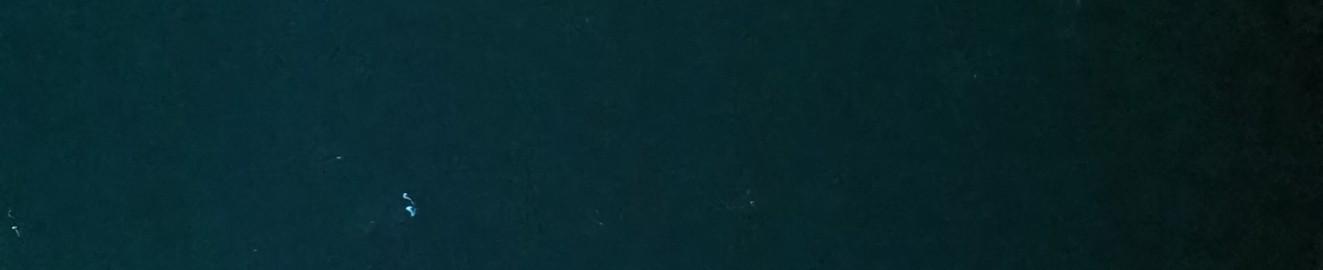 tyranttee69