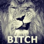 Shawdy The Pawq Pleaser