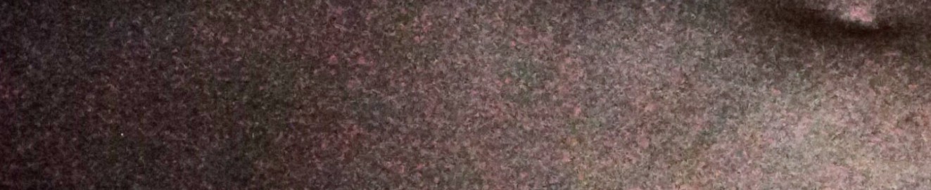 Youngteacher96