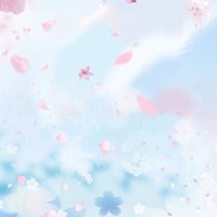 Mochi Bunny