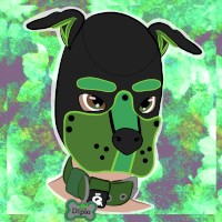 Pup Diplo