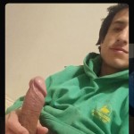 El caballoo
