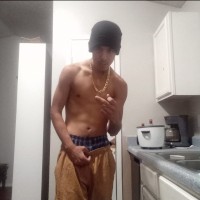 Chinobaby210