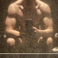 thegermanbull