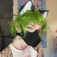 pvppyjules