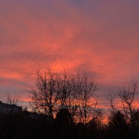 SkyFlyLove