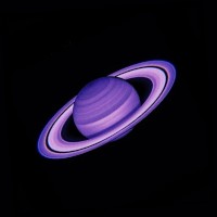 PurpleInside 
