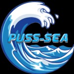 Asia Pussy Explorer