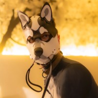 Skalli Wolf