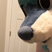Milo The Wolf
