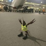 Guyy6767