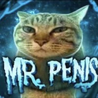 Mr Pajas457