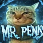 Mr Pajas457