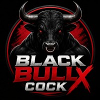 Black bulls Cock