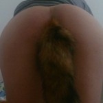 the foxxo in your sheets