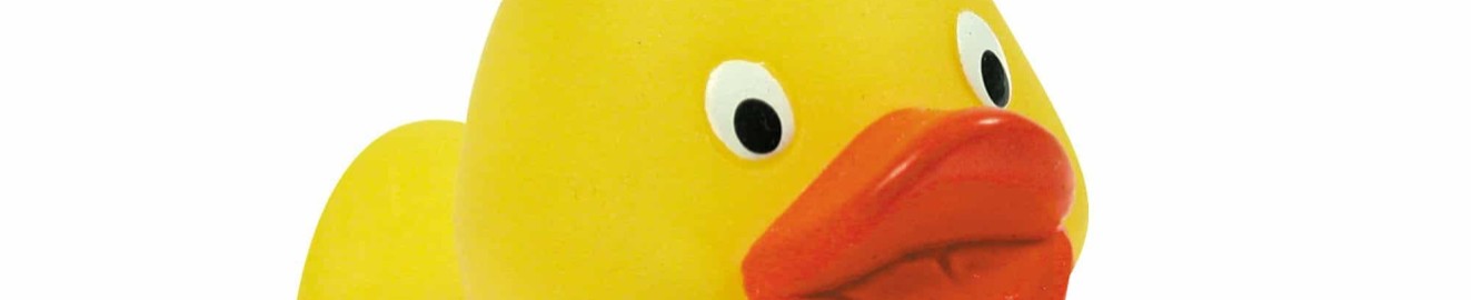 Rubbeducky7