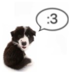 Ensupuppyboy