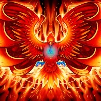 kzapwdtzly