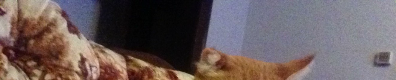 myorangecats66