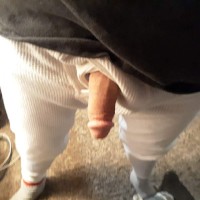 beaver licker