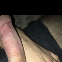 The Ass Master