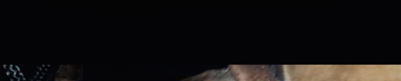 69 Shaded