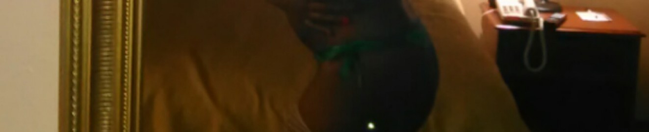 SashaWet