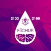The Fuchur