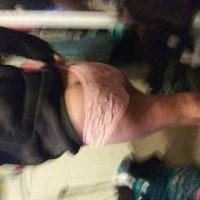 Blackkatt800