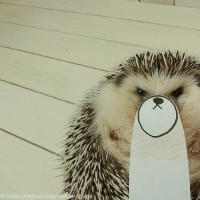 BeautifulCreature