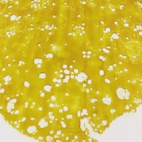 couplenextdoor710