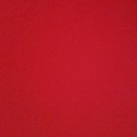 wildncrazyvids