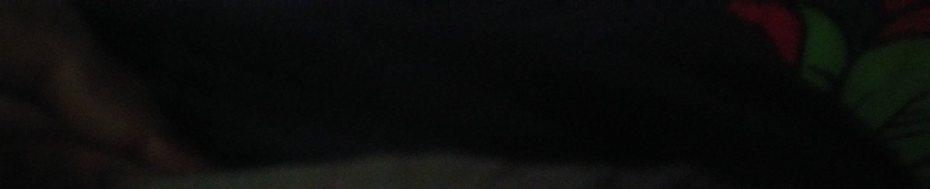 Chocolate dick cookie