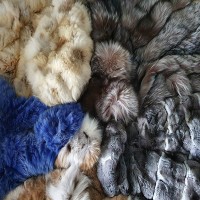 FoxFurCoatLover19