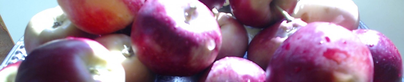 ftuitandnut