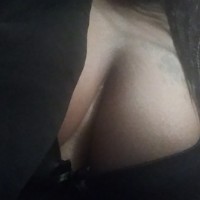 HoneyGemini