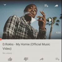 Hippyassdrokks