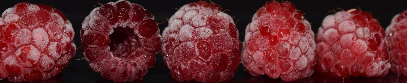 Raspberries35