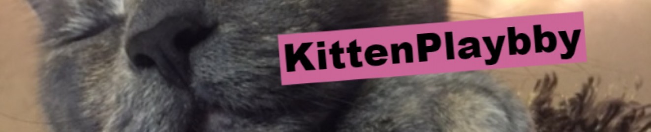 kittenplaybby