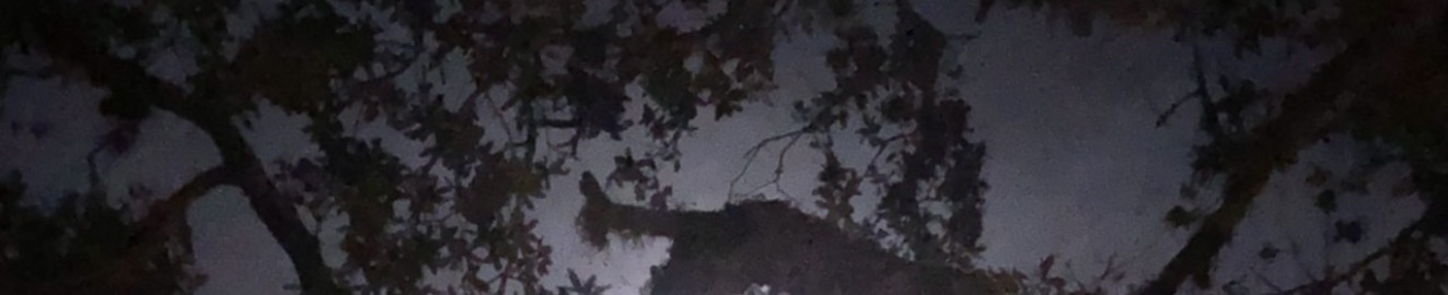 KuroLobo