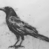 ElizaBennett