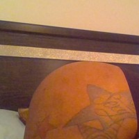 NikkiWett33