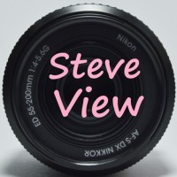 SteveView
