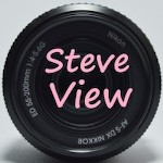 SteveView