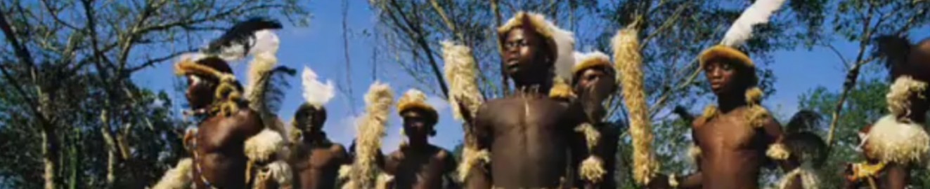 Zuluubull
