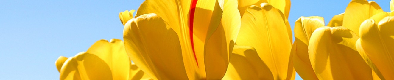 orasange