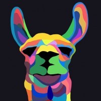 Space_Llama