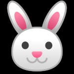 Latin Rabbit