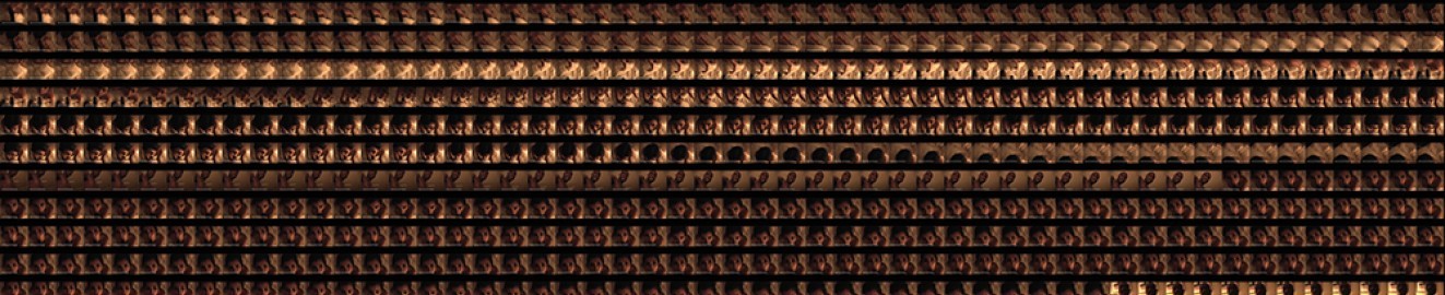 sofiabcd